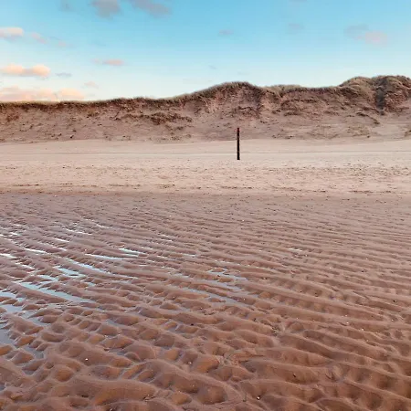 Balsemientexel *