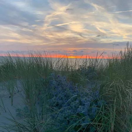 Lägenhet Balsemientexel *